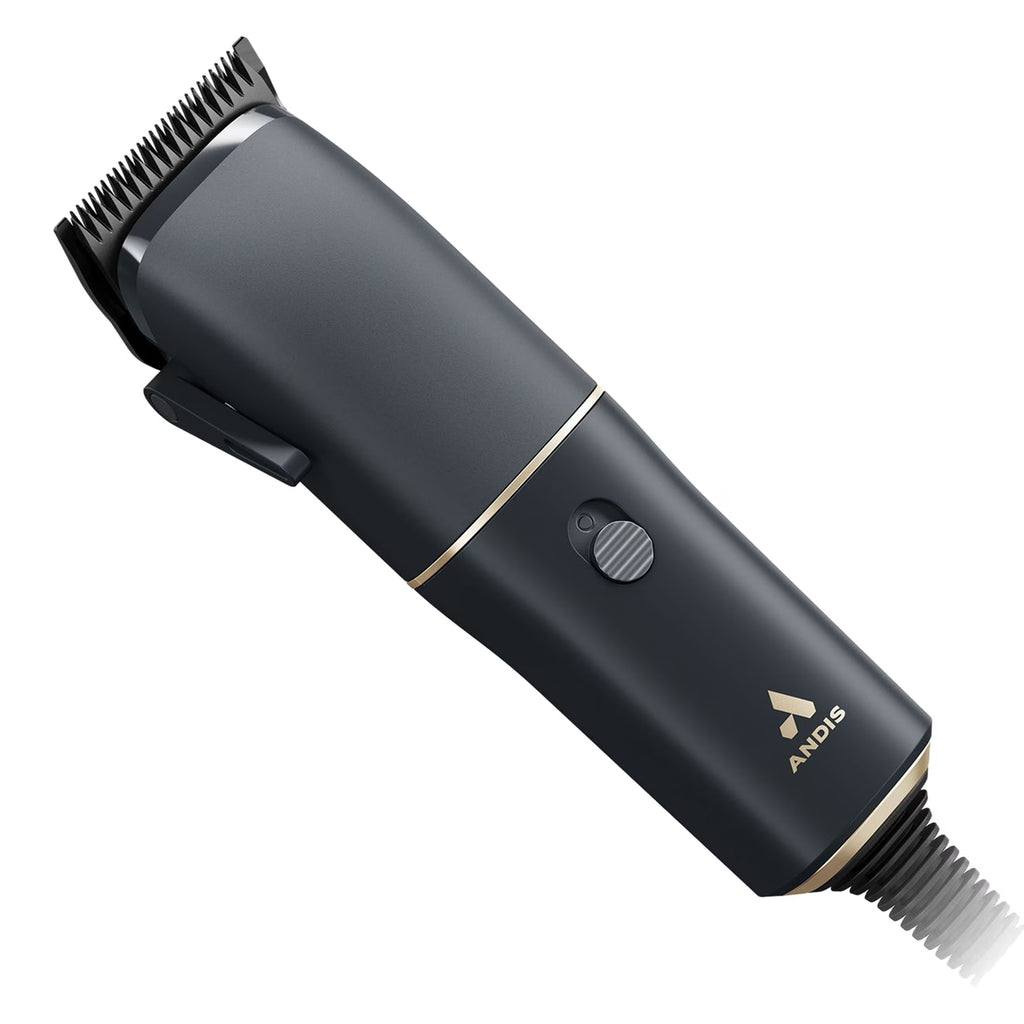 Centennial Clipper U347