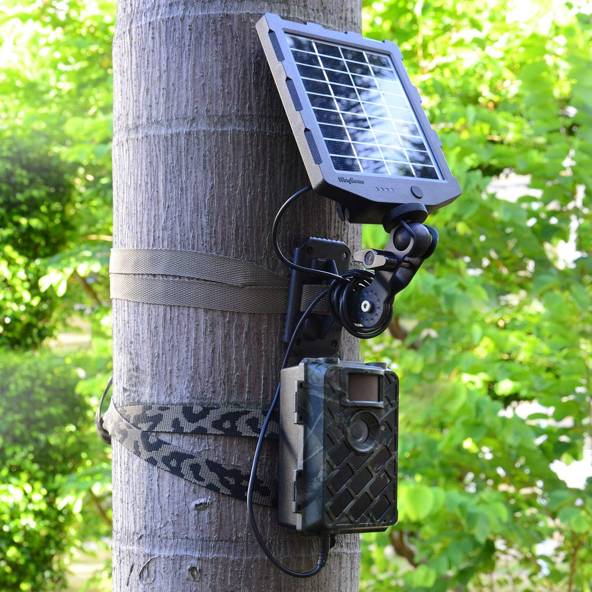 Trail Camera Mounting Bracket Q207