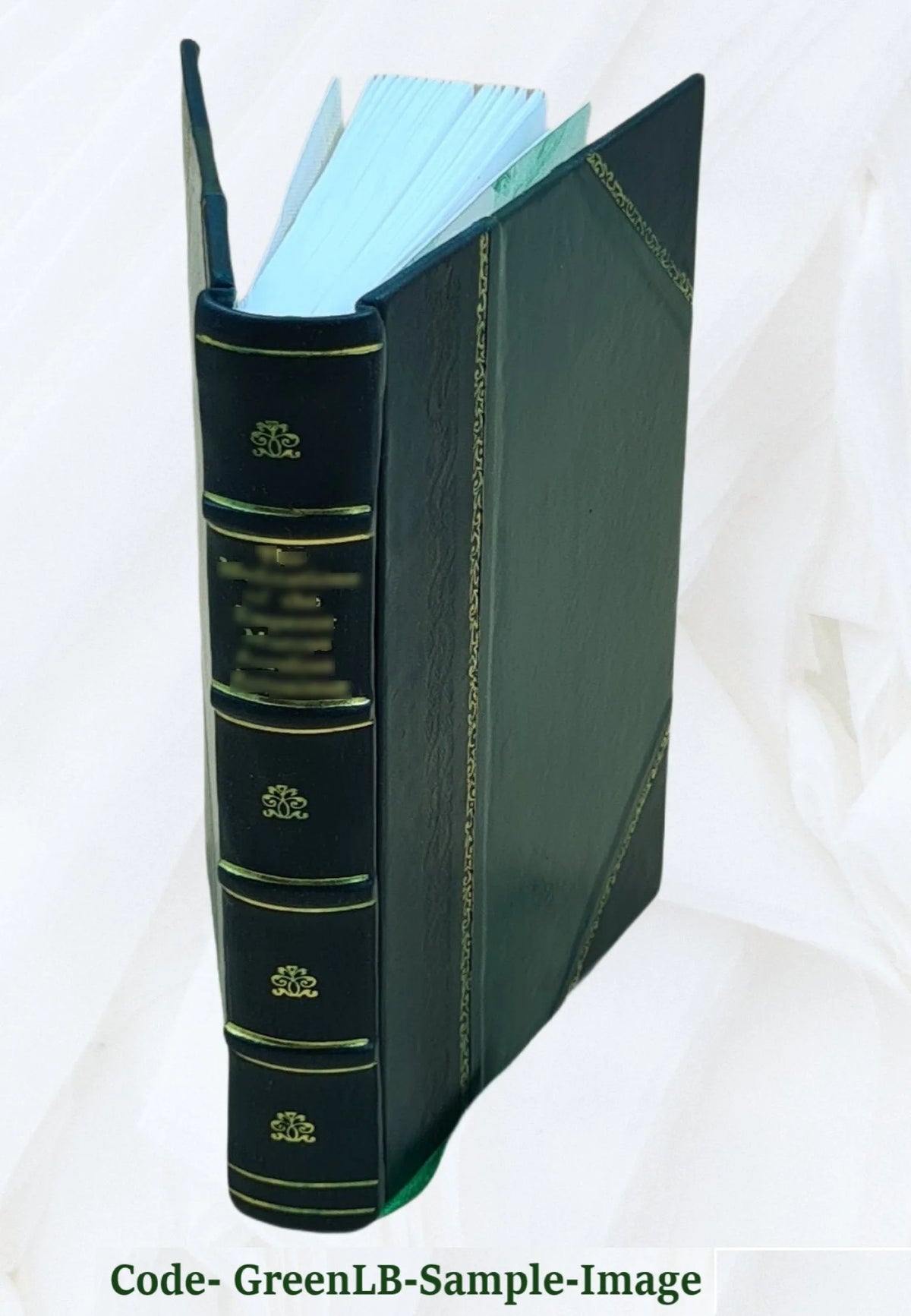 Leather Bound Book O7355