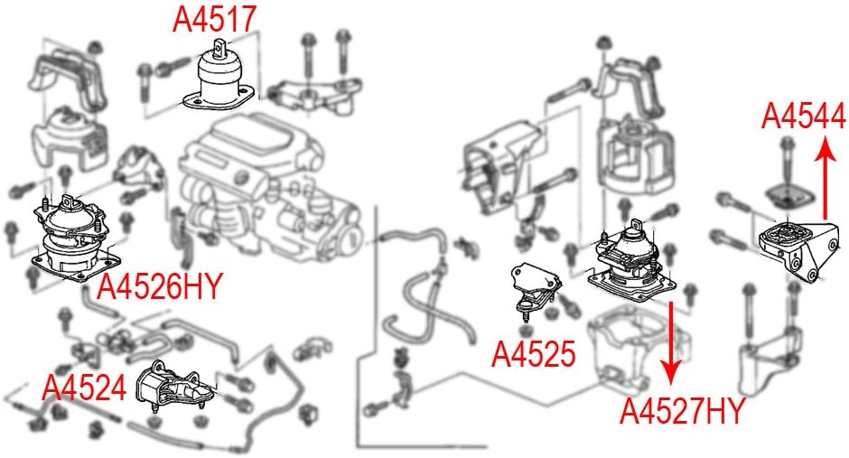 Engine Motor Mount for Honda Accord 3.0L O361849