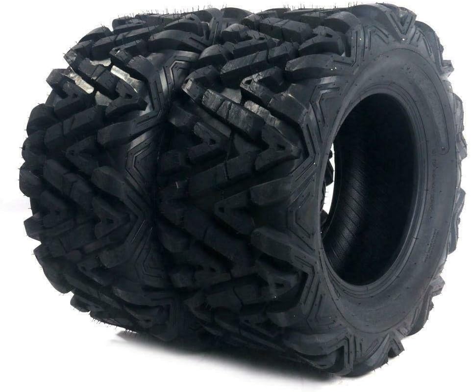 Set of 2 25x10-12 ATV UTV Tires All-Terrain 6 Ply Tubeless F1305