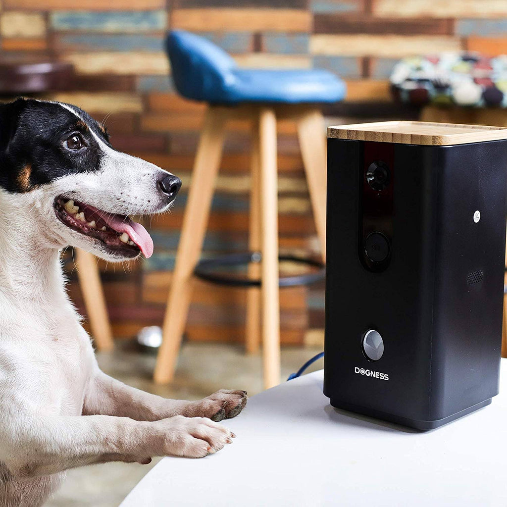 Black Pet Treat Dispenser with Camera R29333