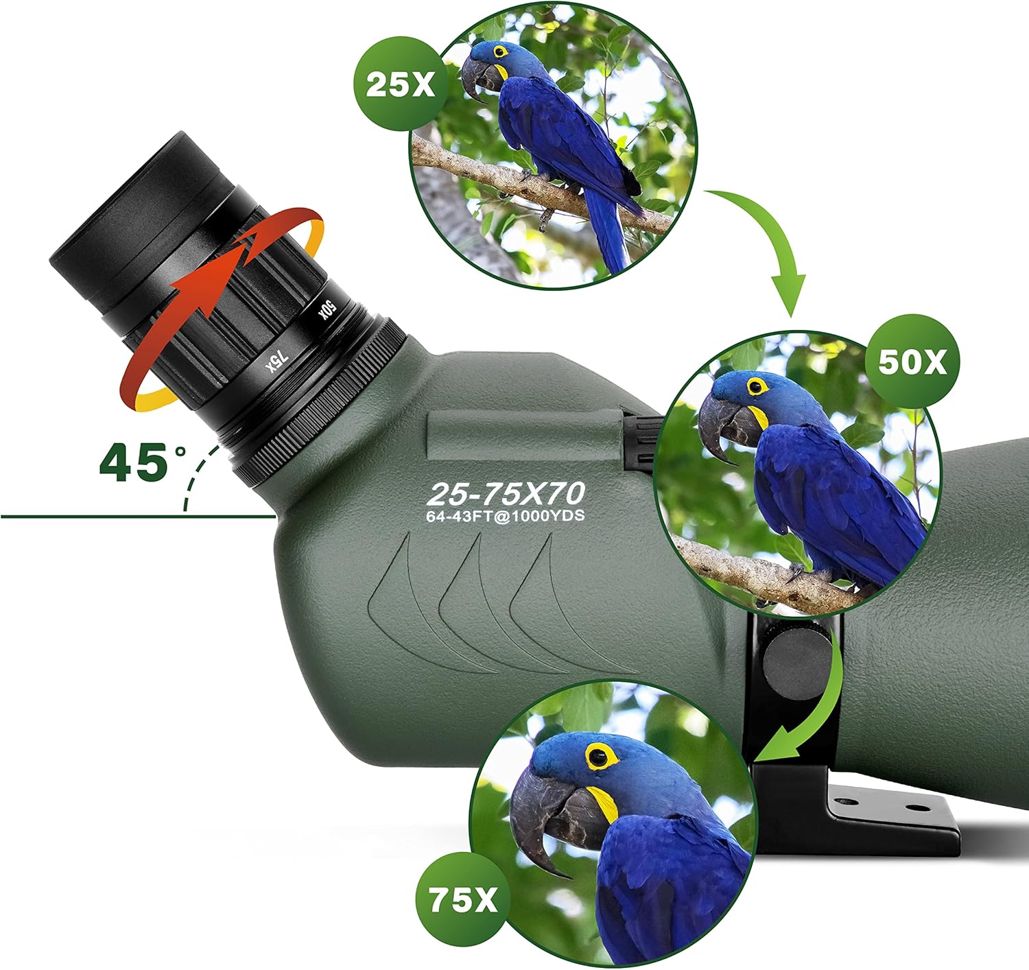Spotting Scope with Tripod and Phone Adapter P67331