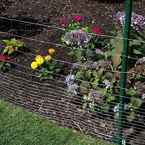 36 Inch By 100 Foot Gauge Wire S2595