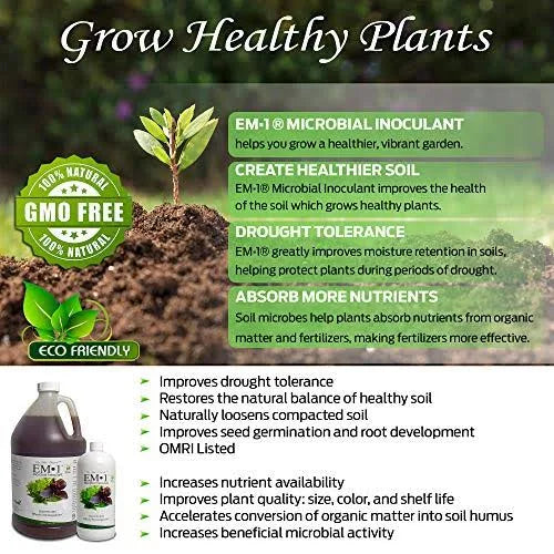Microbial Inoculant Z619761