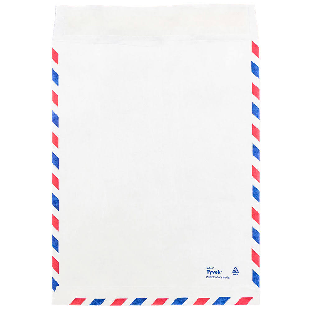 White 10 x 13 Tyvek Open End Catalog Envelopes, 250/Pack F6041
