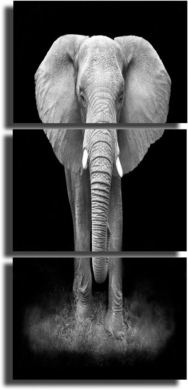 5 Piece Black Canvas Wall Art Safari Artwork Framed Ready to Hang Posters and Prints I423