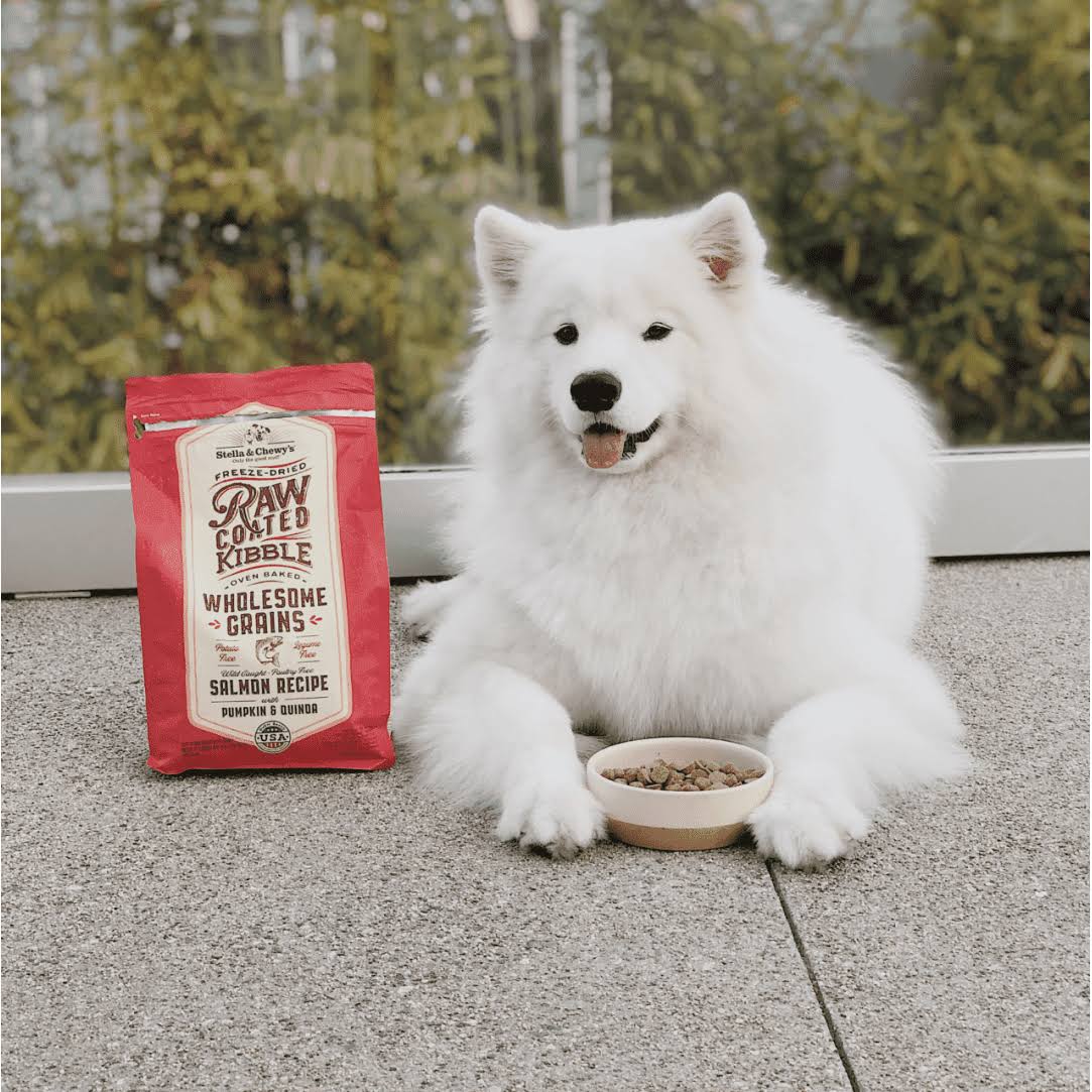 Raw Coated Kibble Dry Dog Food with Wild Caught Salmon Q957