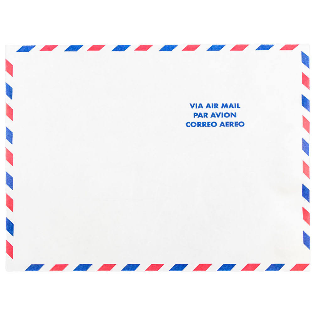 White 10 x 13 Tyvek Open End Catalog Envelopes, 250/Pack F6041