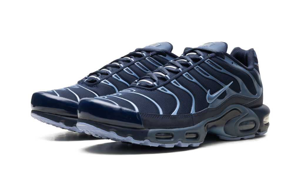 Air Max Plus "Obsidian / Diffused Blue" IM6601 451