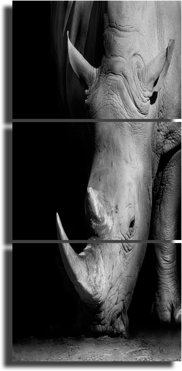 5 Piece Black Canvas Wall Art Safari Artwork Framed Ready to Hang Posters and Prints I423