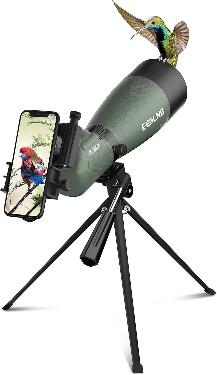Spotting Scope with Tripod and Phone Adapter P67331