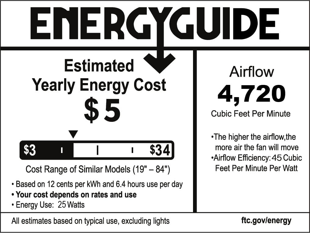 20-inch Caged Ceiling Fan with Light, Reversible, Remote, Bladeless B93208