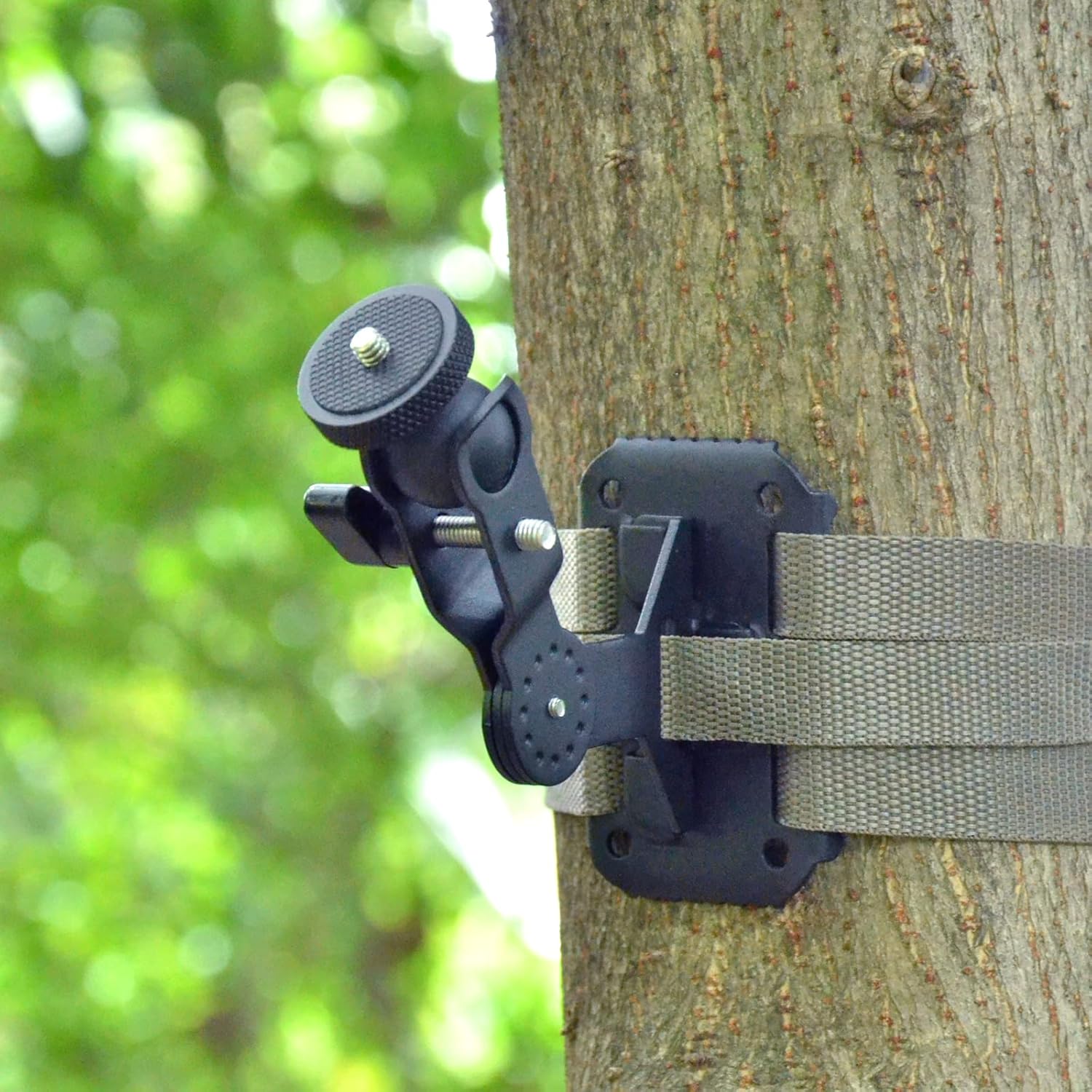Trail Camera Mounting Bracket Q207