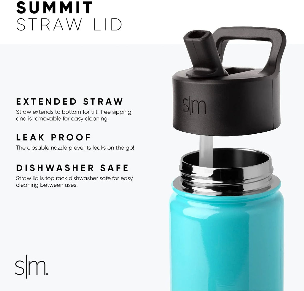14oz Insulated Stainless Steel Water Bottle with Straw Lid G161316
