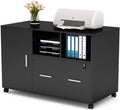 White Mobile Lateral File Cabinet with Lock and Drawer H707410