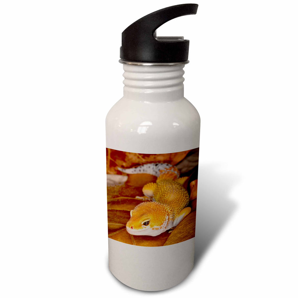 21oz Sports Water Bottle H724