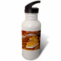21oz Sports Water Bottle H724