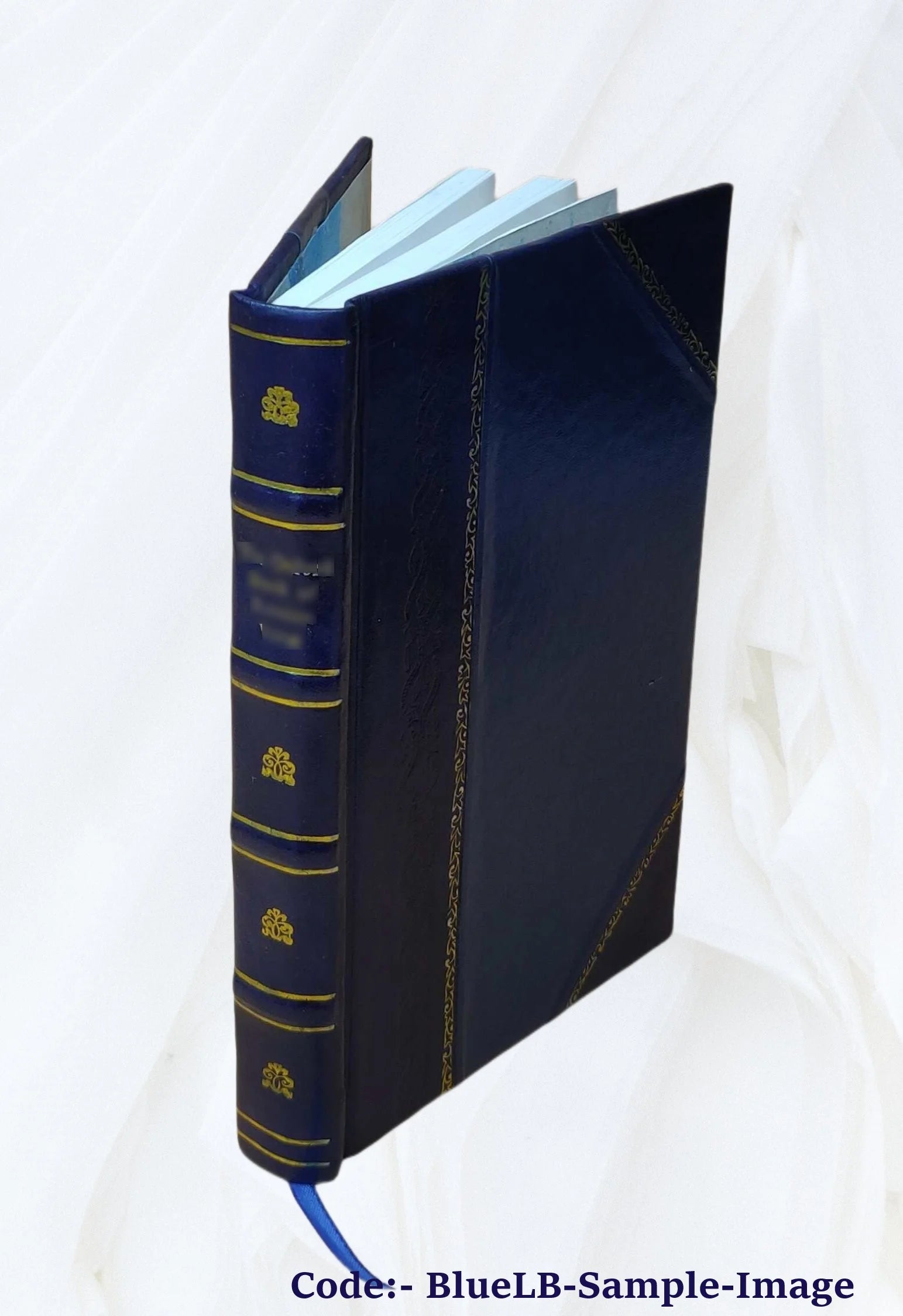 Leather Bound Book O7355