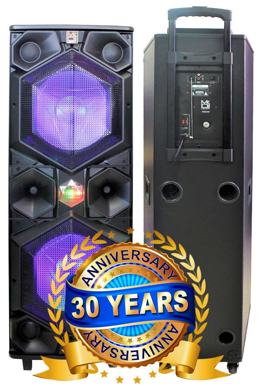 Double 15" Bluetooth Speaker Y962599