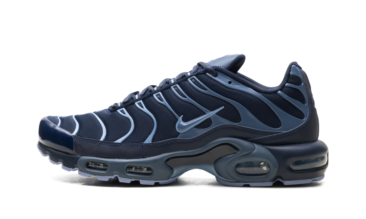 Air Max Plus "Obsidian / Diffused Blue" IM6601 451