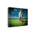 Elephant Carry Me H7481