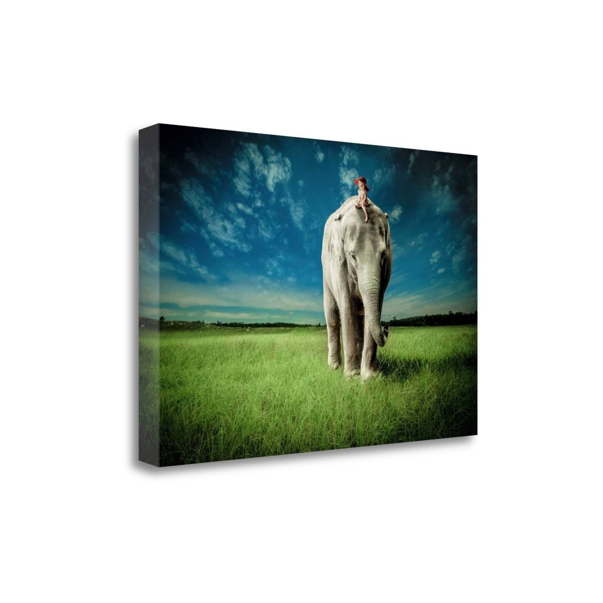 Elephant Carry Me H7481
