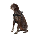 No Pull Dog Harness Z86520
