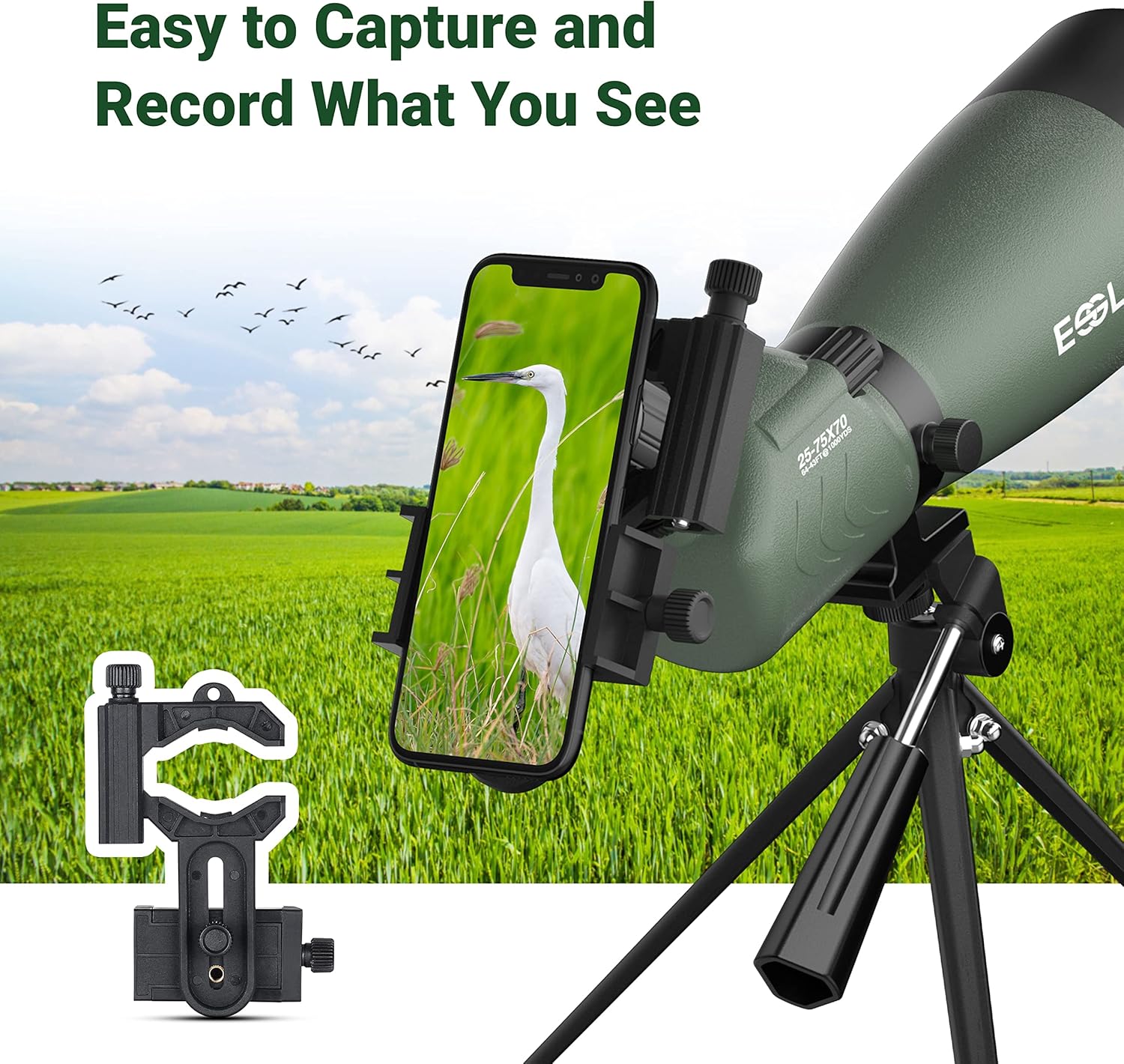 Spotting Scope with Tripod and Phone Adapter P67331