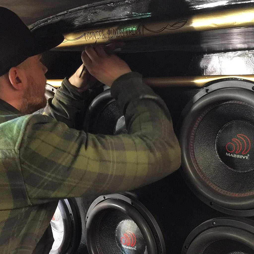12 Inch Car Audio Subwoofer, 700 Watt RMS, Dual 2 Ohm H787