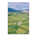 Canvas Art W700011