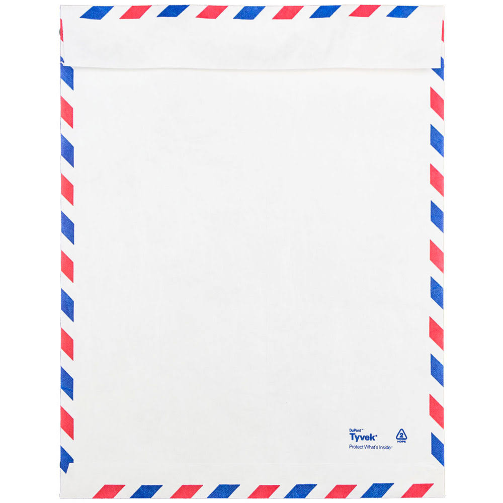 White 10 x 13 Tyvek Open End Catalog Envelopes, 250/Pack F6041