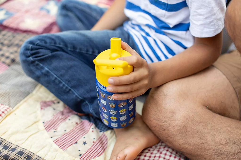 14oz Insulated Stainless Steel Water Bottle with Straw Lid G161316