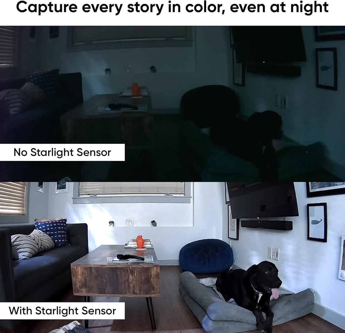 1080p Pan/Tilt/Zoom Indoor Camera with Color Night Vision S33777