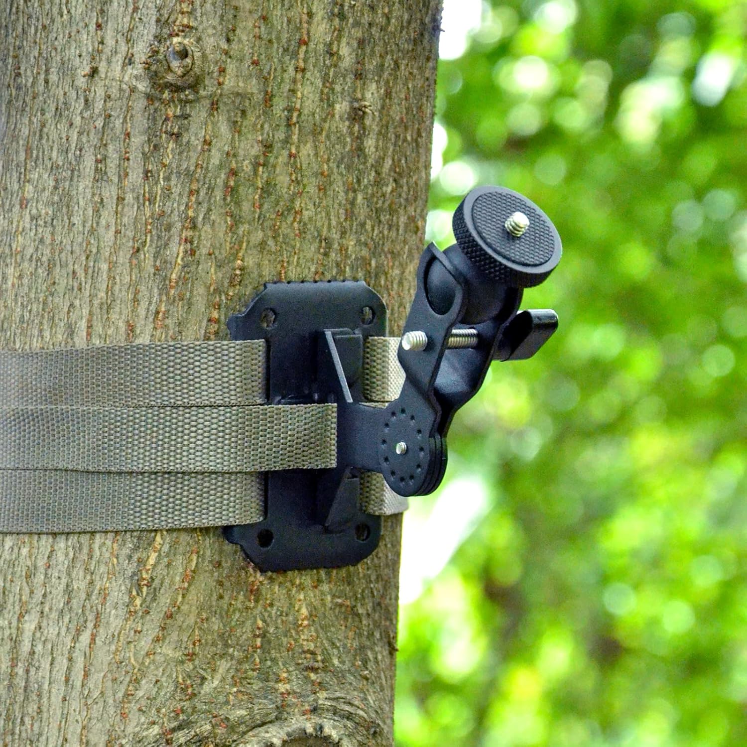 Trail Camera Mounting Bracket Q207