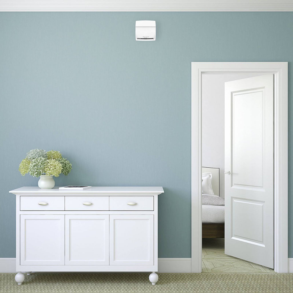Carbon Monoxide Alarm with Voice Location Y555