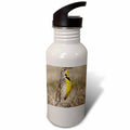 21 oz Sports Water Bottle A456