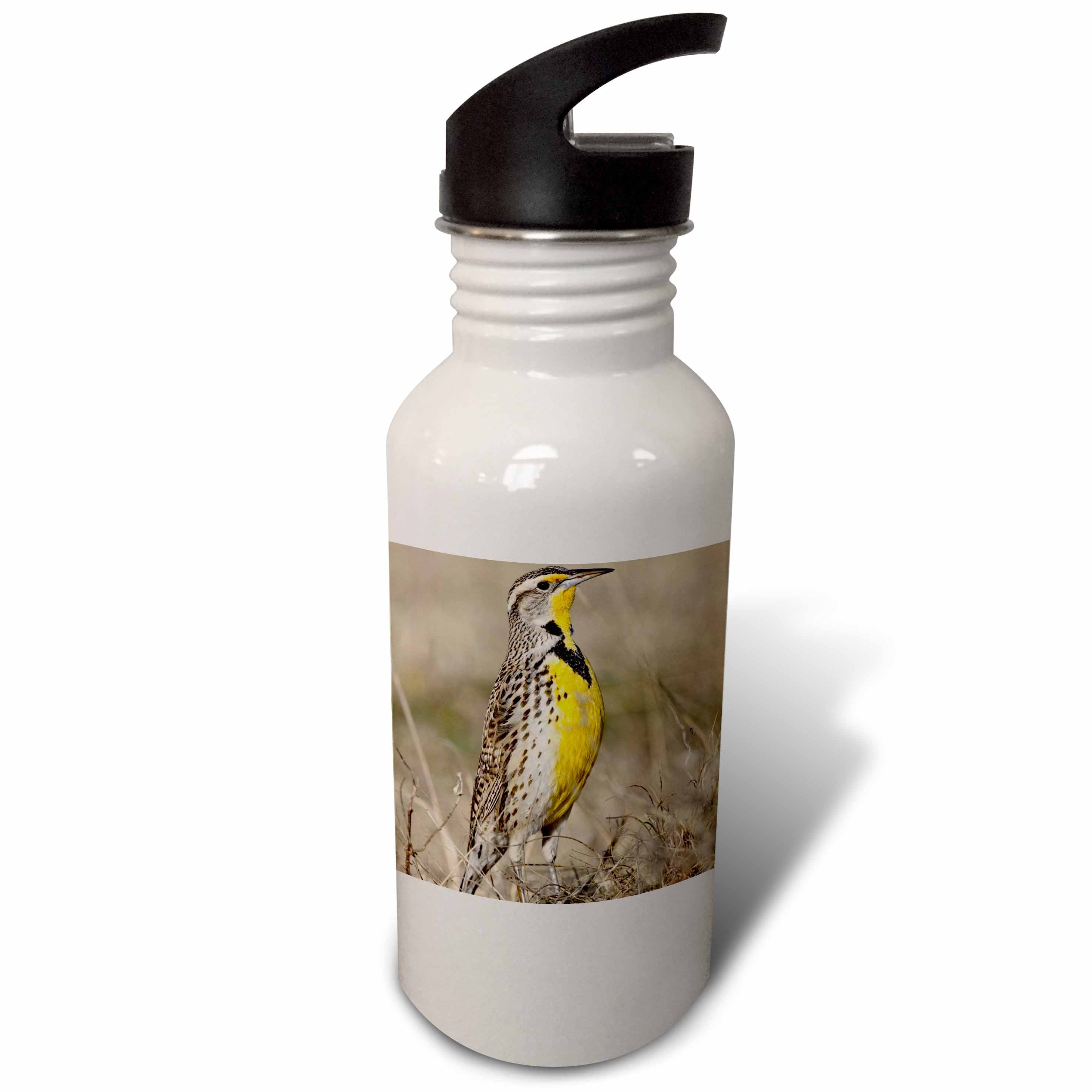 21 oz Sports Water Bottle A456