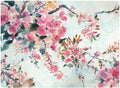 Cherry Blossoms Morning Canvas Art 32x24 P767