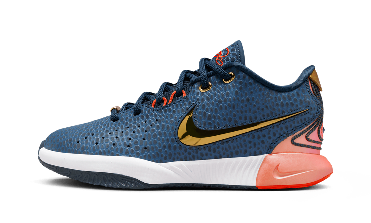 LeBron 21 GS "Olympic" FV3606 400