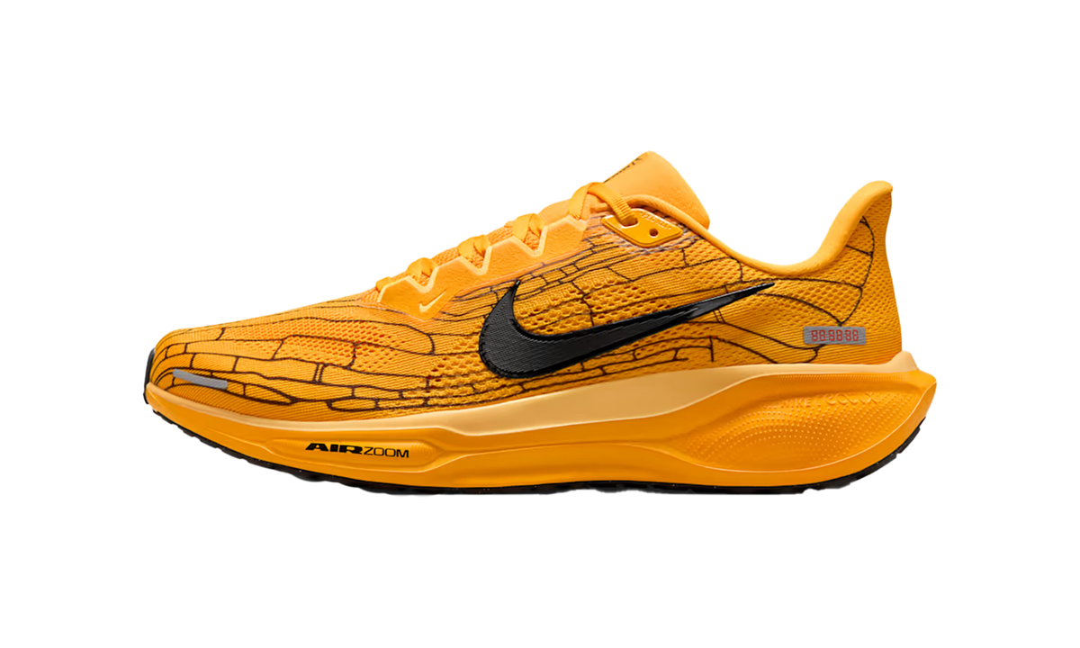 Air Zoom Pegasus 41 "Modern Mayfly" IH3257 700