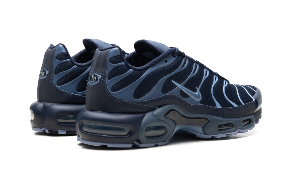 Air Max Plus "Obsidian / Diffused Blue" IM6601 451